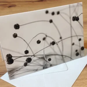 Klappkarte art+nature Hoffnung sw - Polly Paper