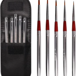 5PCS Travel Watercolor Artist Painting Brushes,Detachable