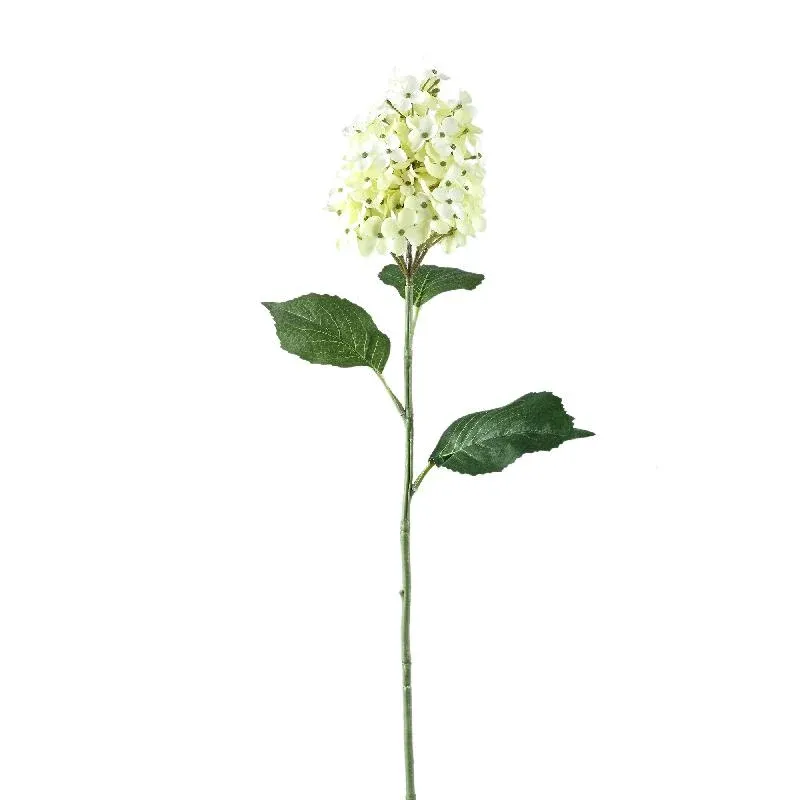 Hortensienblume – Grüner Hortensienzweig aus Kunststoff | PTMD