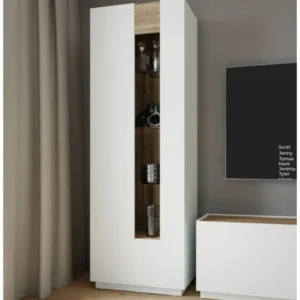 Vitrine LEWISVILLE mit 1 Tür in Secret Grey und Valencia Oak Absetzung, Gesamtansicht von vorn mit offener Tür.