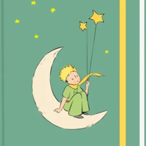 Auf dem Buchcover von „Der kleine Prinz“ ist ein junger, blondhaariger Junge in einem grünen Anzug zu sehen, der auf einer stilisierten, hellen Mondsichel sitzt. Mit einer Hand hält er zwei leuchtende Sterne, während kleine, gelbe Sterne um ihn herum schwirren. Der Hintergrund ist in einem sanften Grün gehalten. Oben steht der Titel „Der kleine Prinz“ in weißer Schrift. Das Cover hat einen gelben Seitenstreifen mit dem Schriftzug „my NOTES“. Ganz unten mittig steht der...