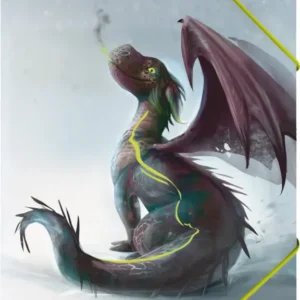 Brunnen-Sammelmappe-A4-Drache-Drago-1041604941-mappe-lafueliki