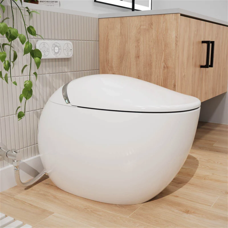 Modern Egg-Shaped Floor-Mounted Smart Toilet with Built-in Water Tank