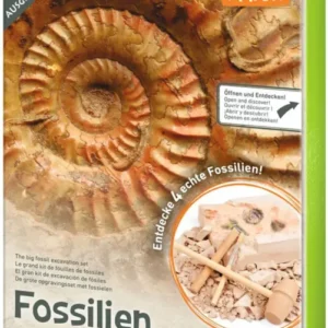 Moses-Verlag-Ausgrabungsset-fuer-Kinder-4-echte-versteinerte-Fossilien-Expedition-Natur-Komplettset-9832-kaufen-lafueliki