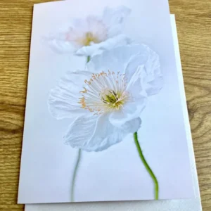 Trauerkarte Weißer Mohn art & nature